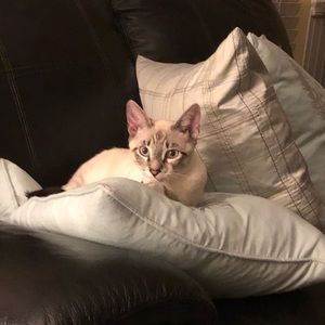 Meet your Posher, Lynne